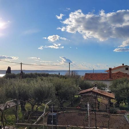 Apartma Isabella Secovlje Luaran gambar